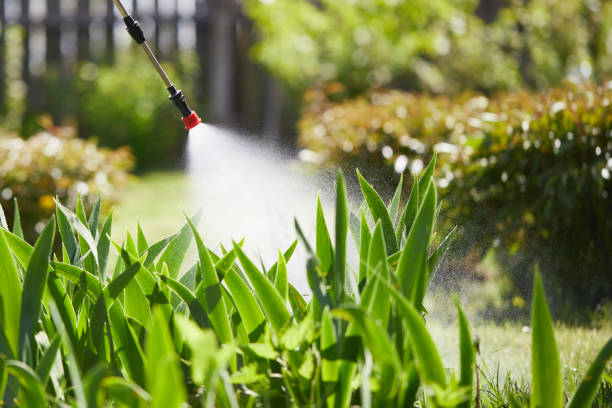 24/7 Emergency Fumigation Services experts in Roanoke Rapids, NC