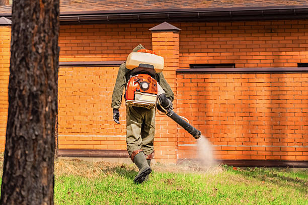 Trusted Emergency Pest Control service in Roanoke Rapids, NC - Nex Pest Control
